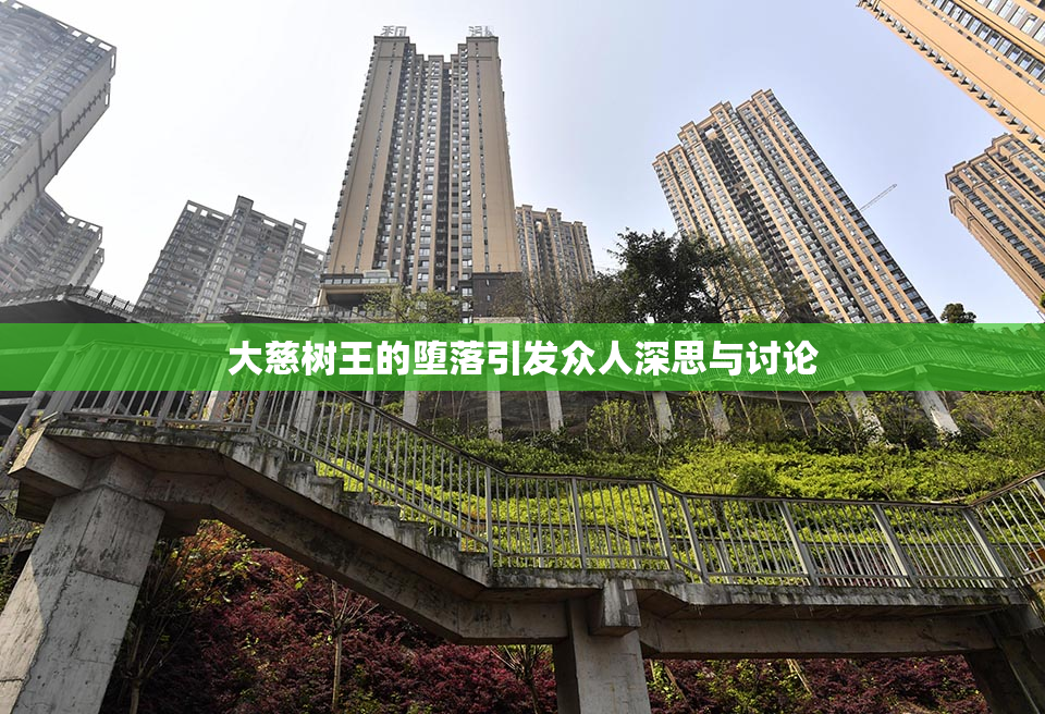 大慈树王的堕落引发众人深思与讨论