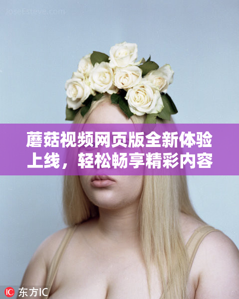蘑菇视频网页版全新体验上线，轻松畅享精彩内容！