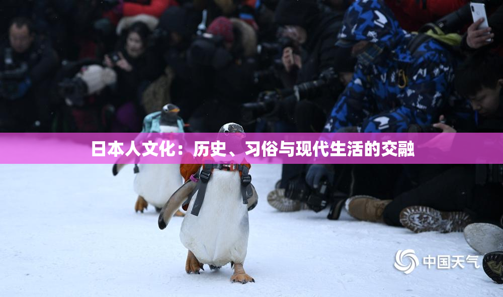 日本人文化：历史、习俗与现代生活的交融