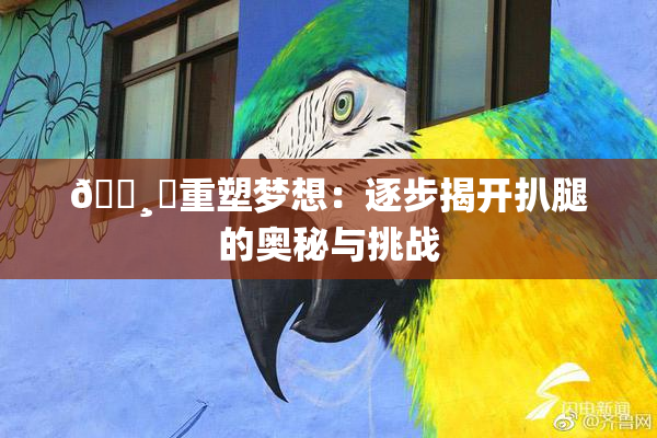 🌸‌重塑梦想：逐步揭开扒腿的奥秘与挑战