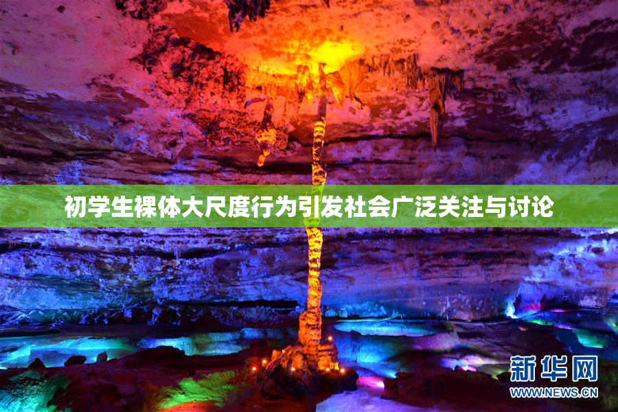 初学生裸体大尺度行为引发社会广泛关注与讨论