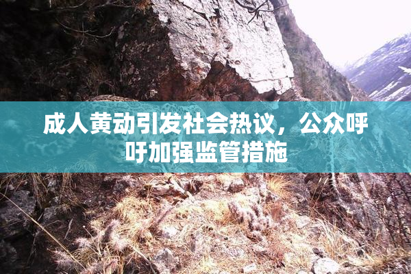 成人黄动引发社会热议，公众呼吁加强监管措施