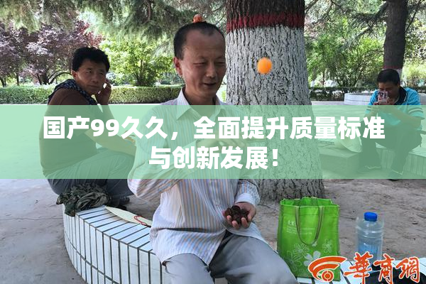 国产99久久，全面提升质量标准与创新发展！