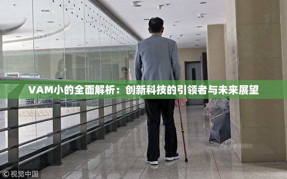VAM小的全面解析：创新科技的引领者与未来展望