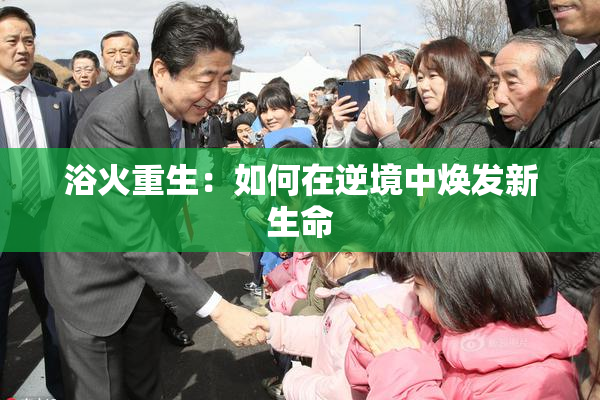 浴火重生：如何在逆境中焕发新生命