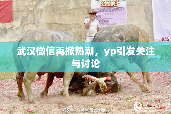 武汉微信再掀热潮，yp引发关注与讨论