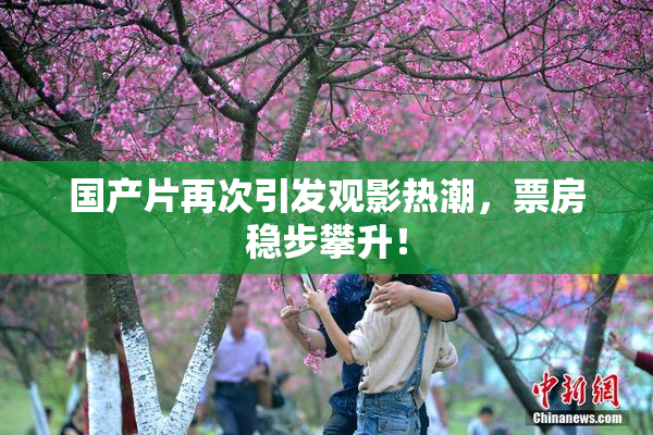 国产片再次引发观影热潮，票房稳步攀升！