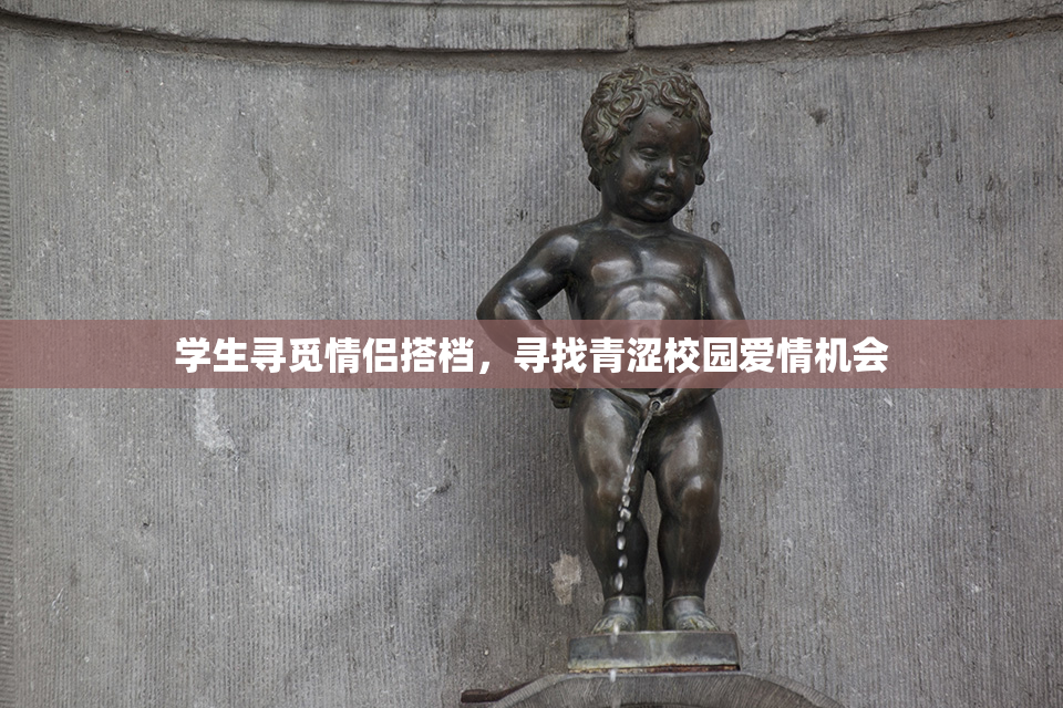 学生寻觅情侣搭档，寻找青涩校园爱情机会