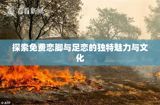 探索免费恋脚与足恋的独特魅力与文化