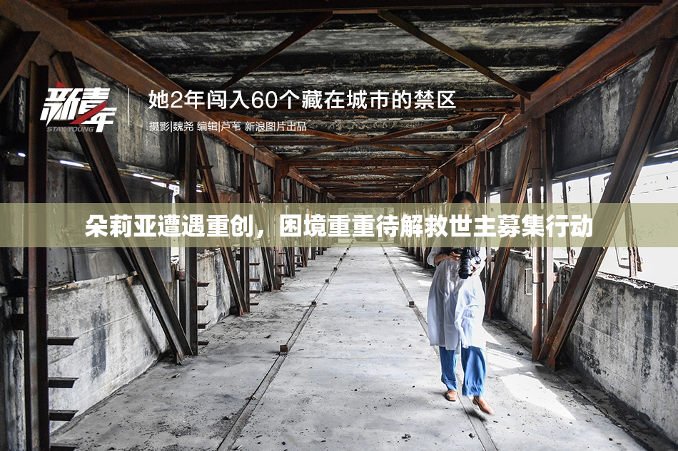 朵莉亚遭遇重创，困境重重待解救世主募集行动