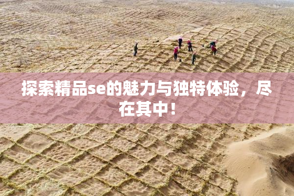 探索精品se的魅力与独特体验，尽在其中！
