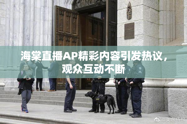 海棠直播AP精彩内容引发热议，观众互动不断