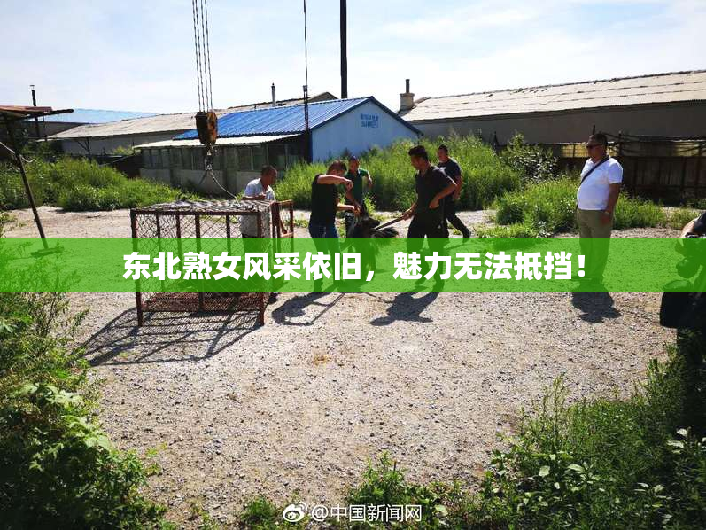 东北熟女风采依旧，魅力无法抵挡！