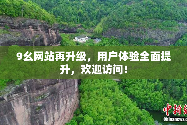 9幺网站再升级，用户体验全面提升，欢迎访问！