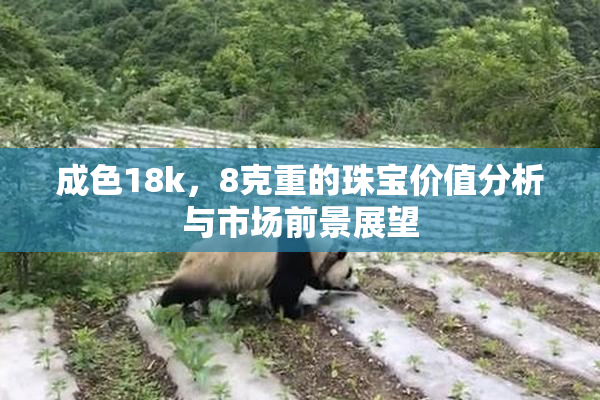 成色18k，8克重的珠宝价值分析与市场前景展望