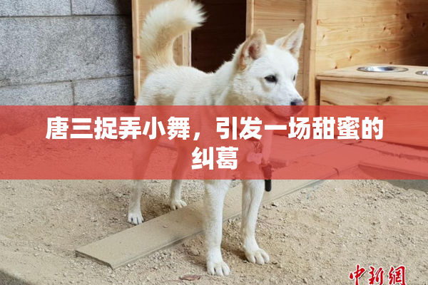 唐三捉弄小舞，引发一场甜蜜的纠葛