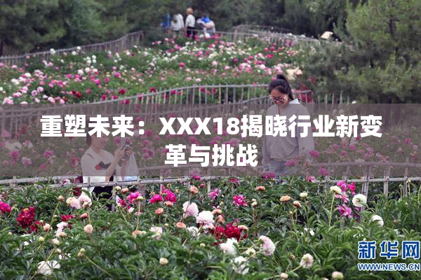 重塑未来：XXX18揭晓行业新变革与挑战