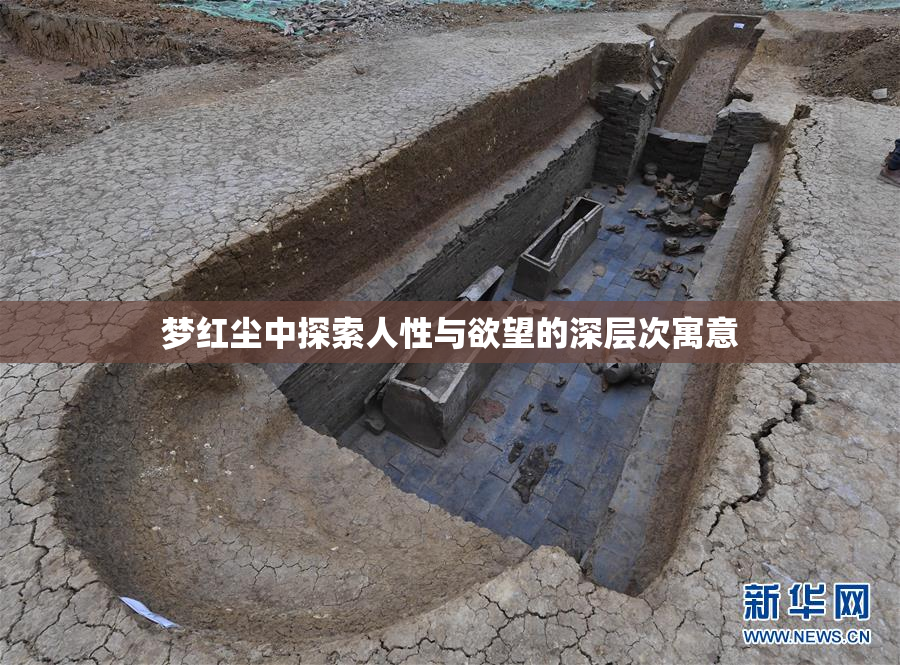 梦红尘中探索人性与欲望的深层次寓意