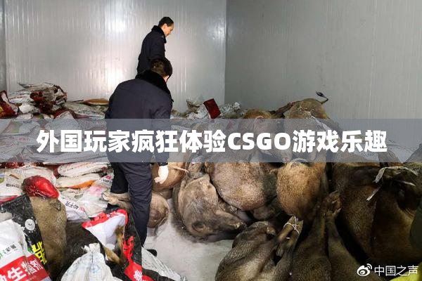 外国玩家疯狂体验CSGO游戏乐趣