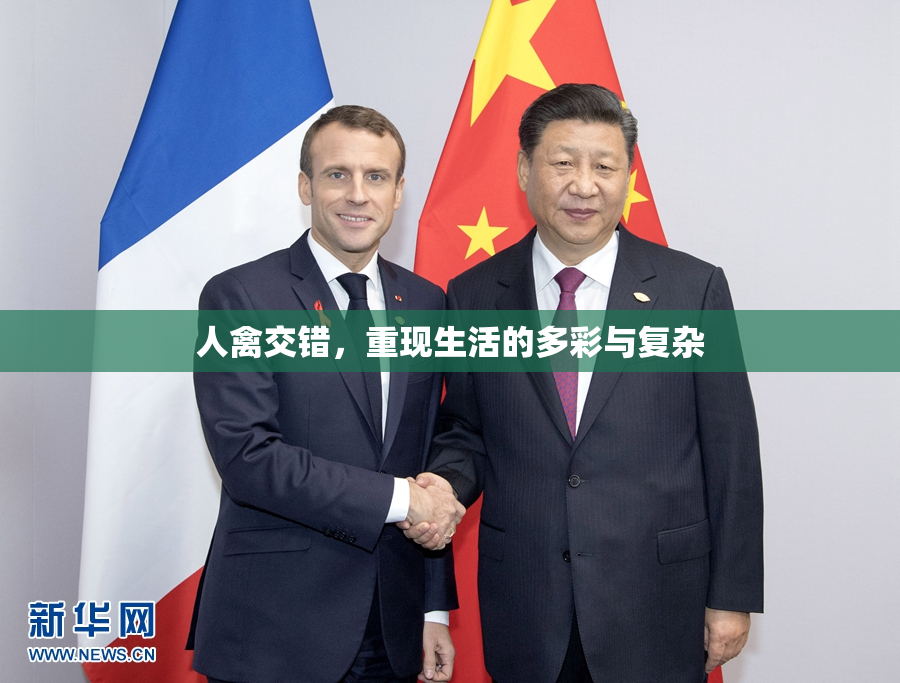 人禽交错，重现生活的多彩与复杂