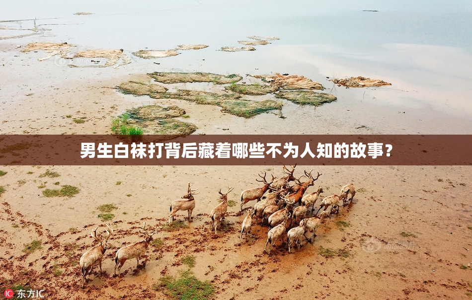 男生白袜打背后藏着哪些不为人知的故事？