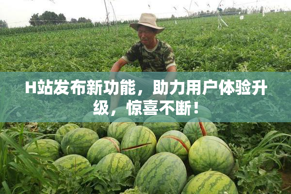 H站发布新功能，助力用户体验升级，惊喜不断！