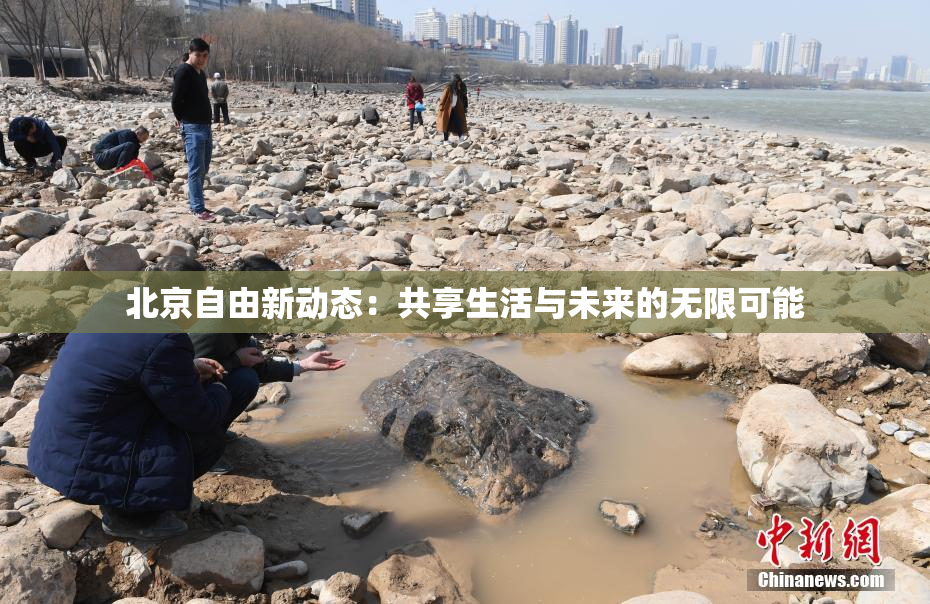 北京自由新动态：共享生活与未来的无限可能