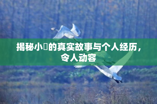 揭秘小泬的真实故事与个人经历，令人动容