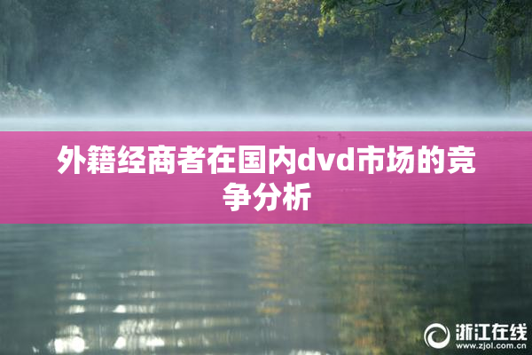 外籍经商者在国内dvd市场的竞争分析