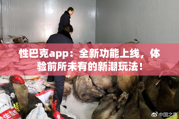 性巴克app：全新功能上线，体验前所未有的新潮玩法！