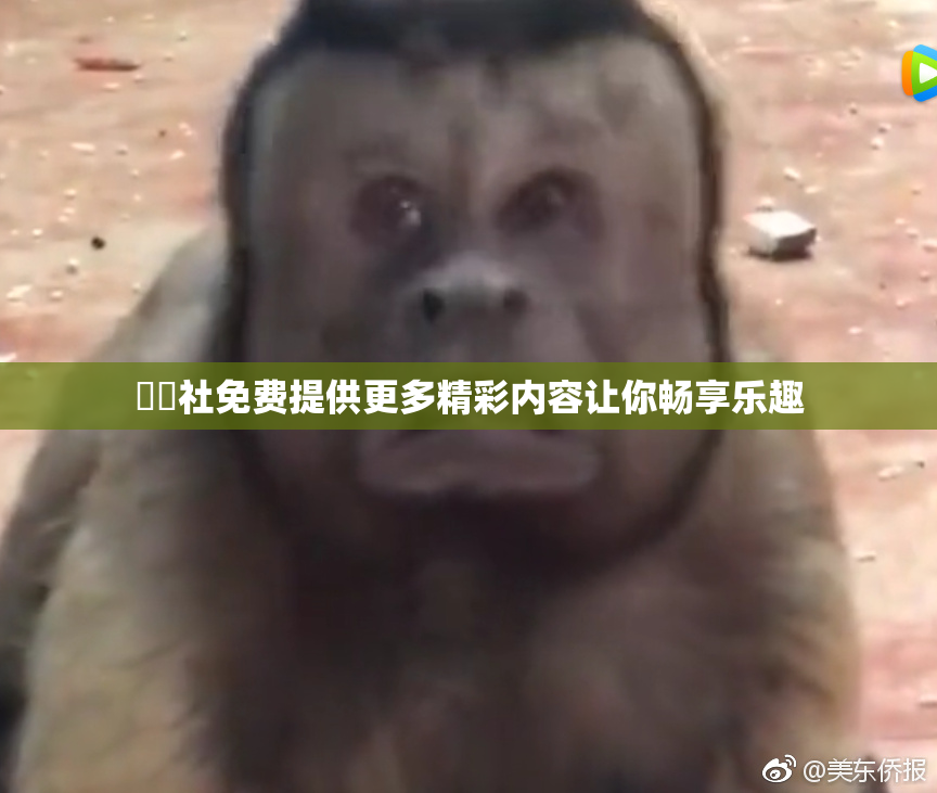 擼擼社免费提供更多精彩内容让你畅享乐趣