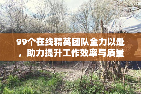 99个在线精英团队全力以赴，助力提升工作效率与质量