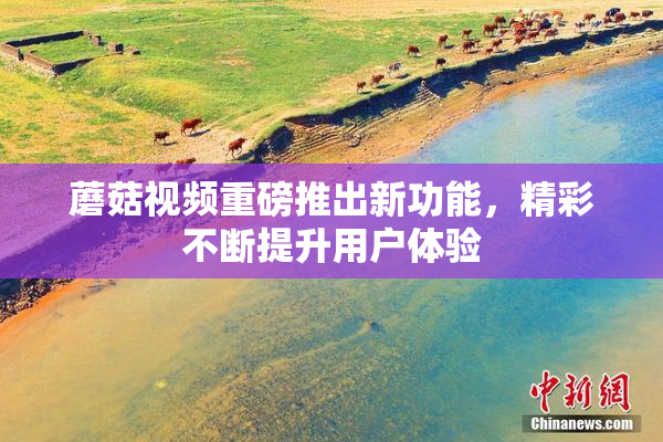 蘑菇视频重磅推出新功能，精彩不断提升用户体验