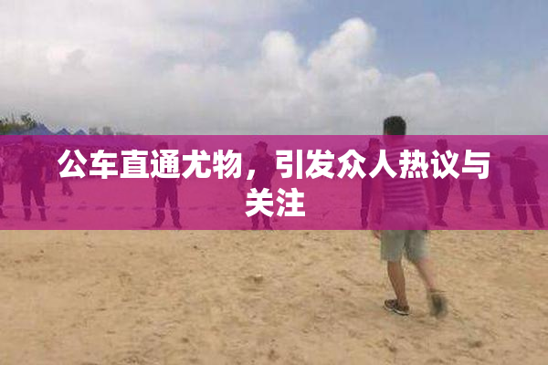 公车直通尤物，引发众人热议与关注