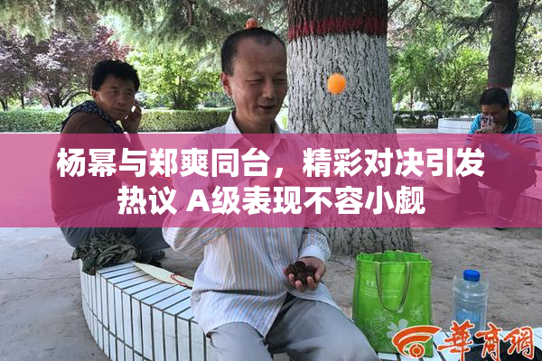 杨幂与郑爽同台，精彩对决引发热议 A级表现不容小觑