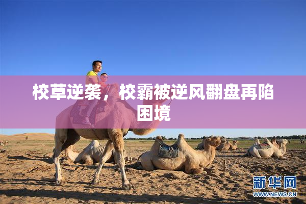 校草逆袭，校霸被逆风翻盘再陷困境