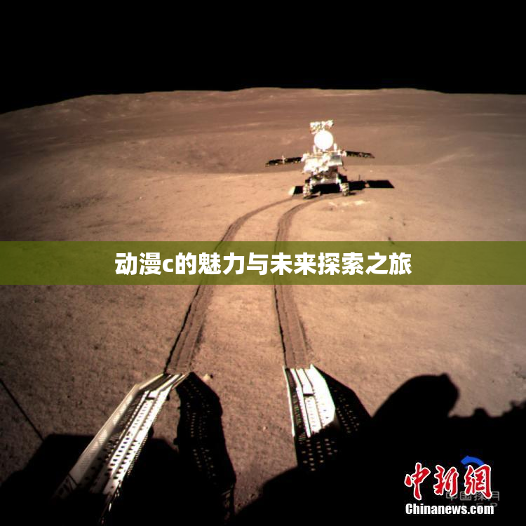 动漫c的魅力与未来探索之旅