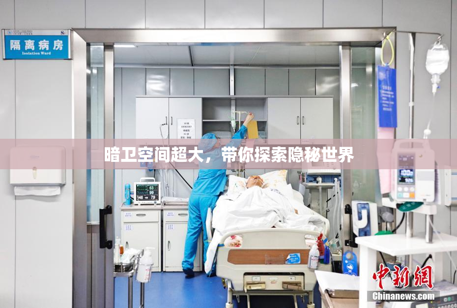 暗卫空间超大，带你探索隐秘世界