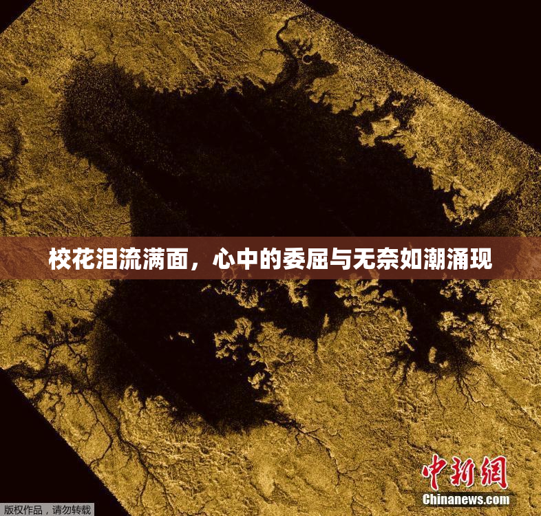 校花泪流满面，心中的委屈与无奈如潮涌现
