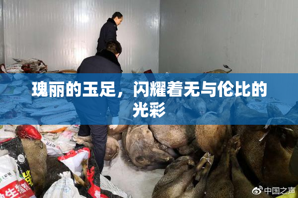 瑰丽的玉足，闪耀着无与伦比的光彩