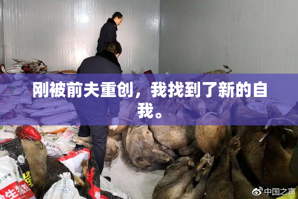 刚被前夫重创，我找到了新的自我。