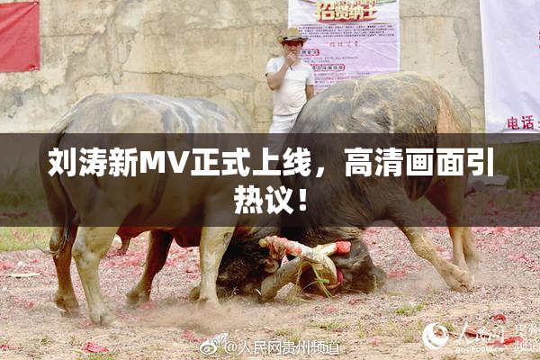 刘涛新MV正式上线，高清画面引热议！