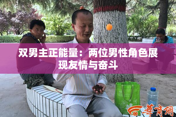 双男主正能量：两位男性角色展现友情与奋斗