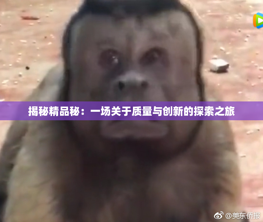 揭秘精品秘：一场关于质量与创新的探索之旅
