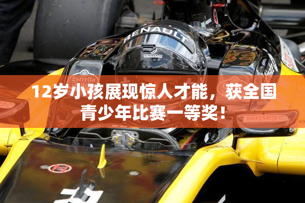 12岁小孩展现惊人才能，获全国青少年比赛一等奖！