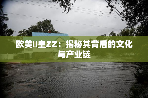 欧美嘼皇ZZ：揭秘其背后的文化与产业链