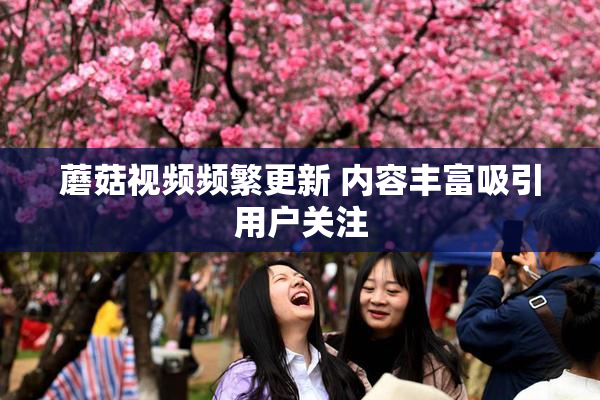 蘑菇视频频繁更新 内容丰富吸引用户关注