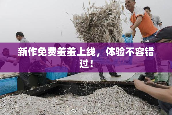 新作免费羞羞上线，体验不容错过！