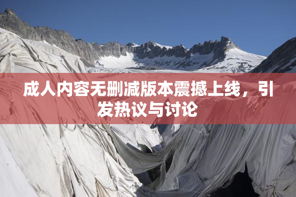 成人内容无删减版本震撼上线，引发热议与讨论