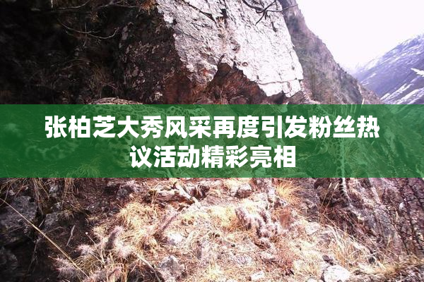 张柏芝大秀风采再度引发粉丝热议活动精彩亮相